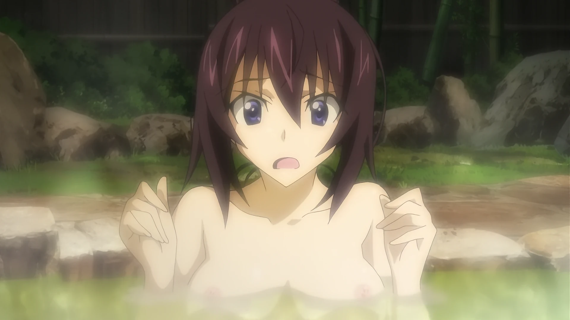 IS〈Infinite Stratos〉 2 - S02E12 - 篠之之箒 nude fanservice